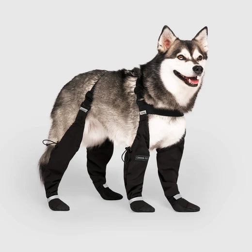 Adjustable Boots for Paws and Legs