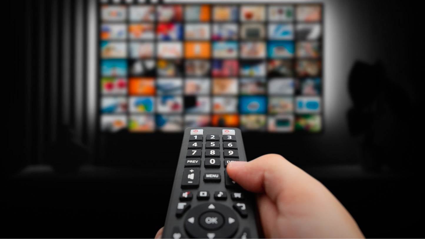 CastView™ The Revolution in Home Entertainment