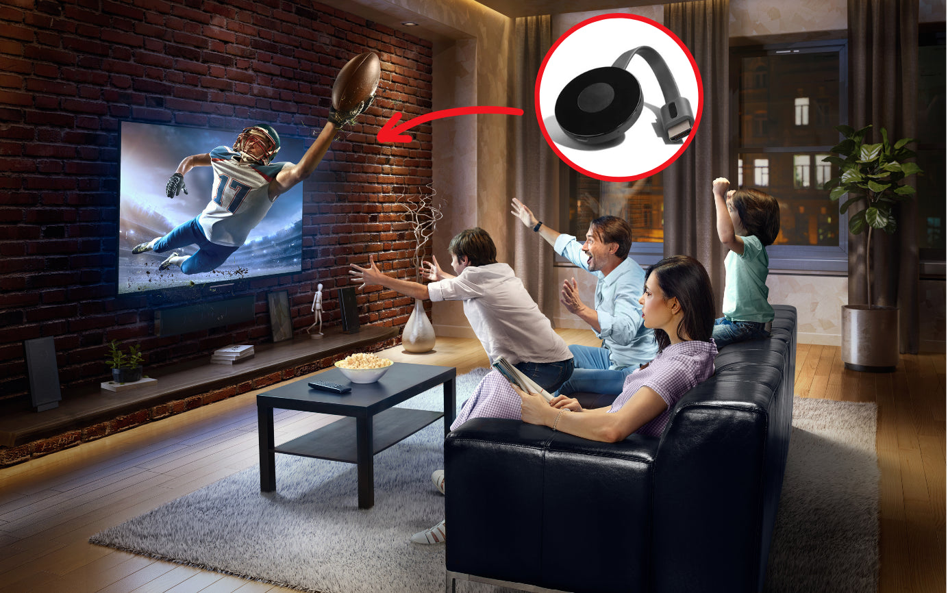 CastView™ The Revolution in Home Entertainment