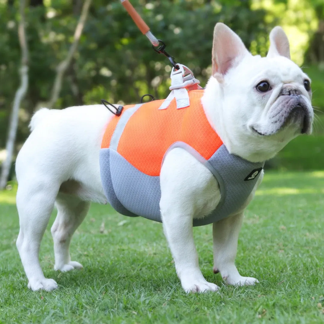 Breathable Cooling Harness Vest