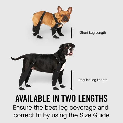 Adjustable Boots for Paws and Legs
