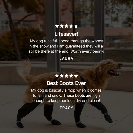 Adjustable Boots for Paws and Legs