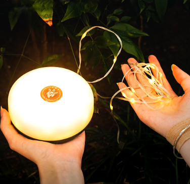 4-in-1 Camp Light