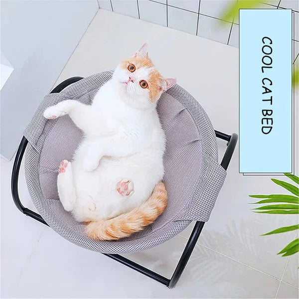 Floor Cat Hammock-With Stand ๐บ๐ค Elevate Your Cat's Comfort with Style and Savings! ๐พ๐ค