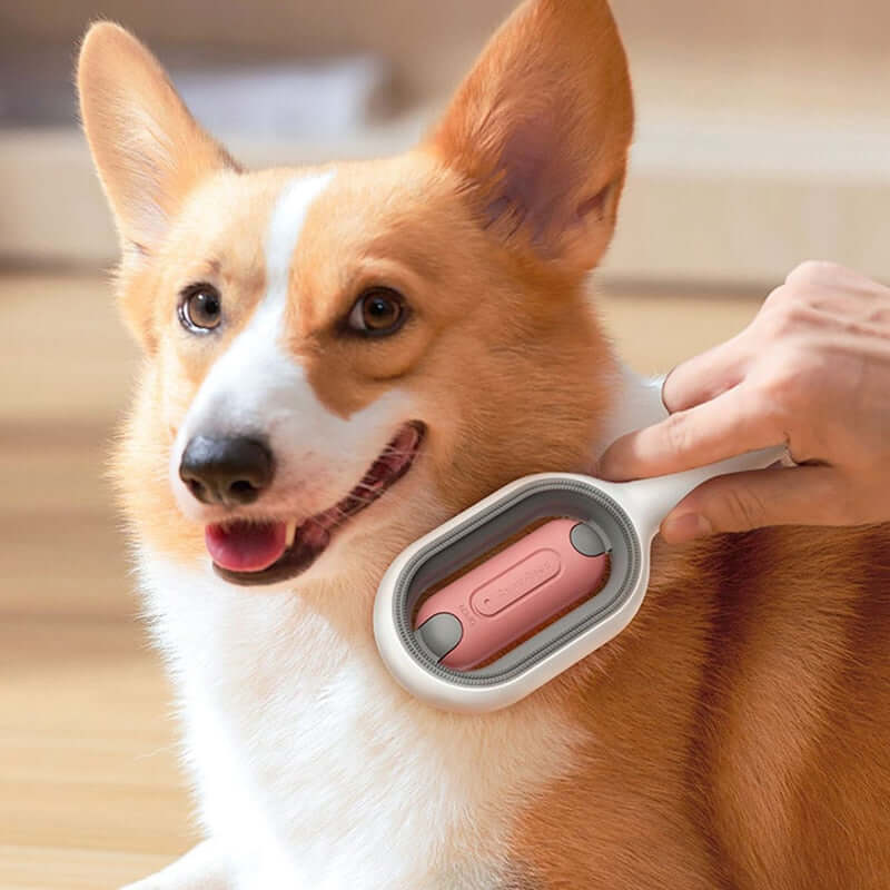 Best Pet Hair Cleaner