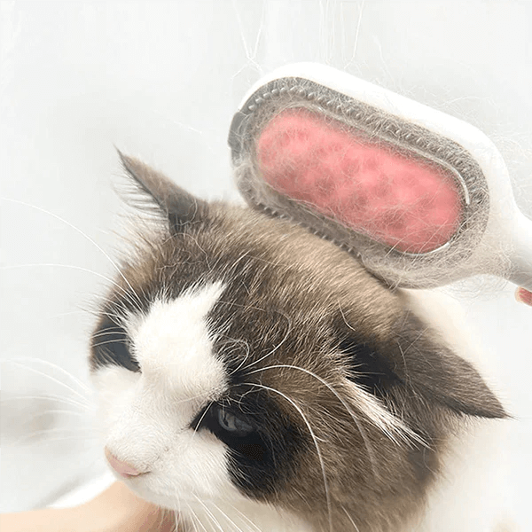 Best Pet Hair Cleaner
