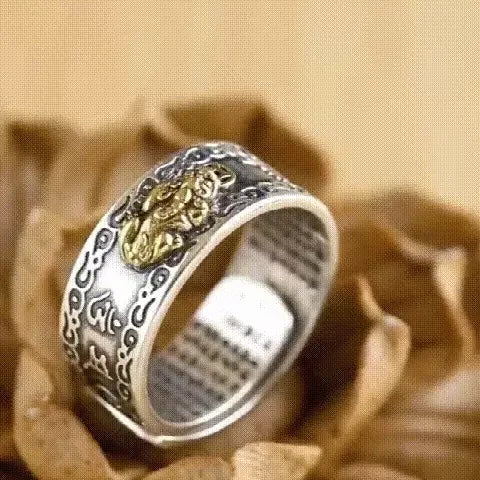 πποΈFeng Shui Pixiu Wealth & Protection Ring π