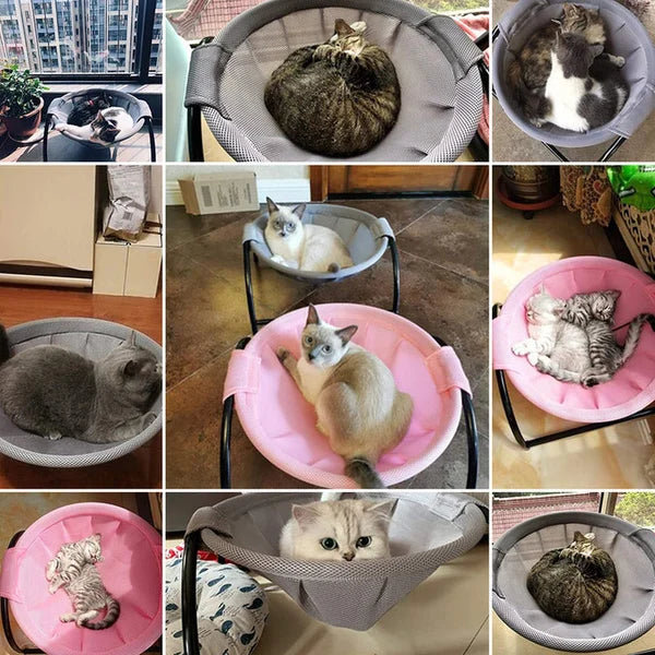 Floor Cat Hammock-With Stand ๐บ๐ค Elevate Your Cat's Comfort with Style and Savings! ๐พ๐ค