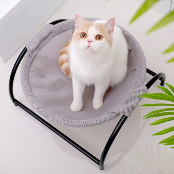 Floor Cat Hammock-With Stand ๐บ๐ค Elevate Your Cat's Comfort with Style and Savings! ๐พ๐ค