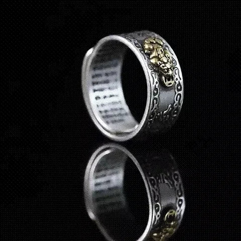 πποΈFeng Shui Pixiu Wealth & Protection Ring π
