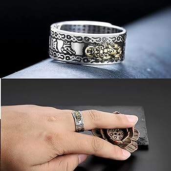 πποΈFeng Shui Pixiu Wealth & Protection Ring π