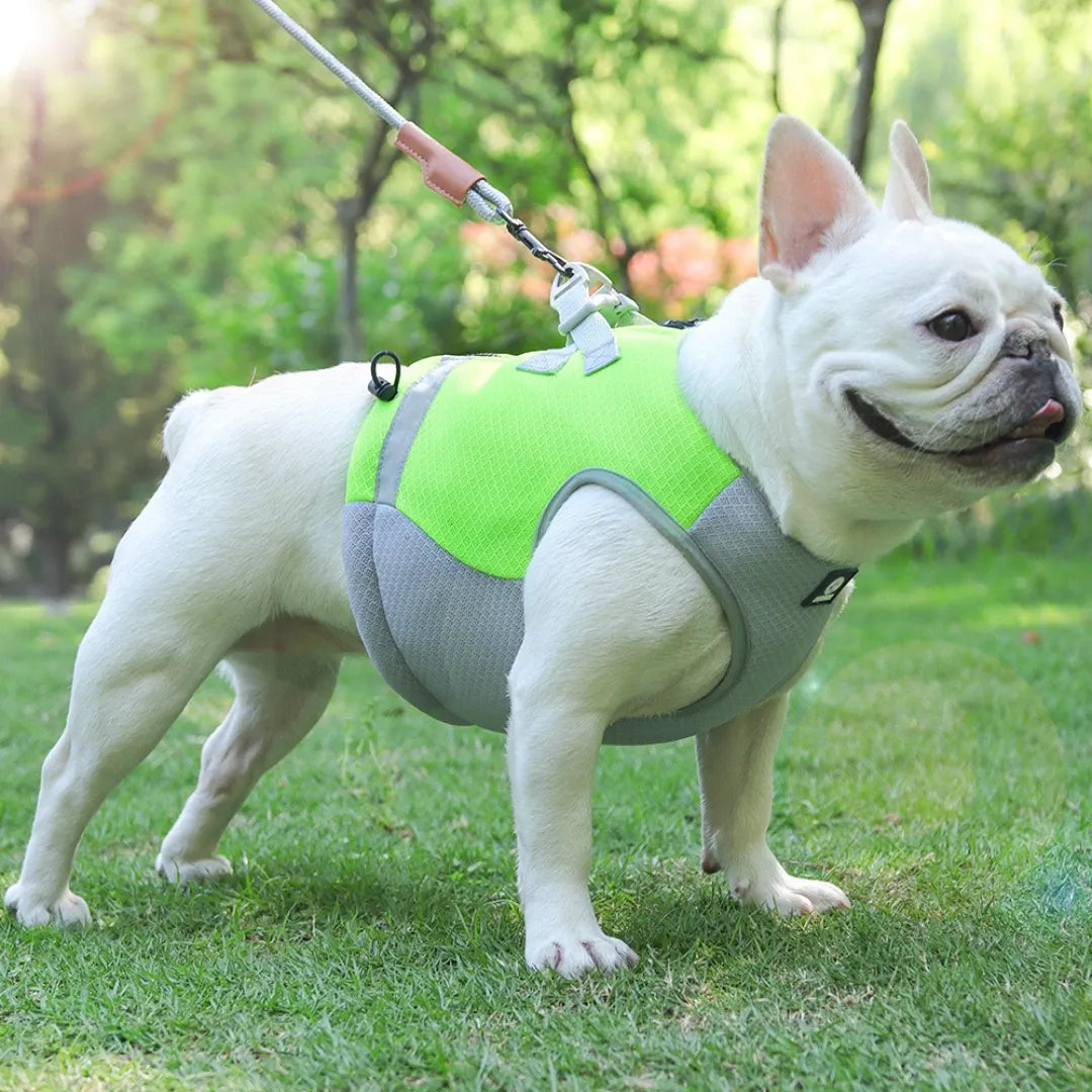 Breathable Cooling Harness Vest