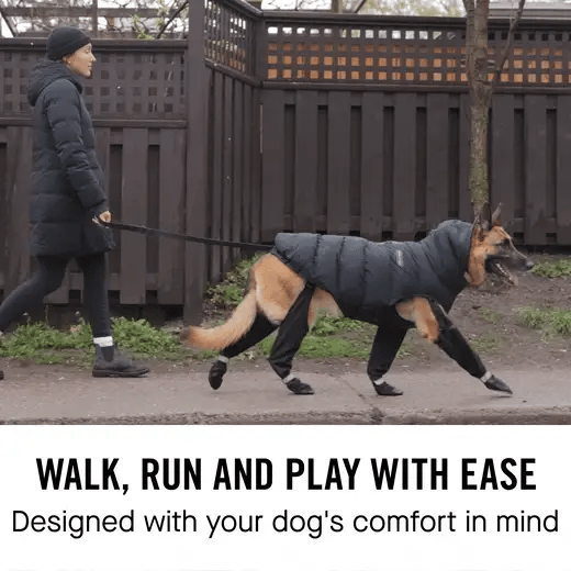 Adjustable Boots for Paws and Legs