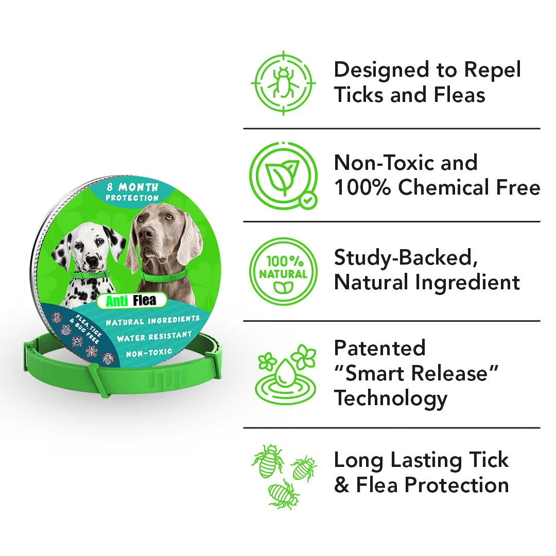 Anti-Flea & Tick Collar For Dog 🐾