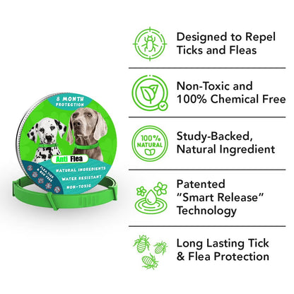 Anti-Flea & Tick Collar For Dog 🐾
