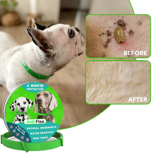 Anti-Flea & Tick Collar For Dog 🐾