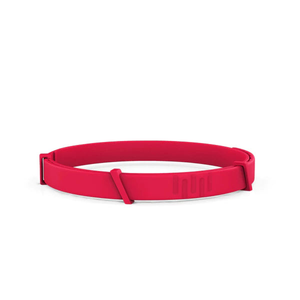 Anti-Flea & Tick Collar For Dog 🐾