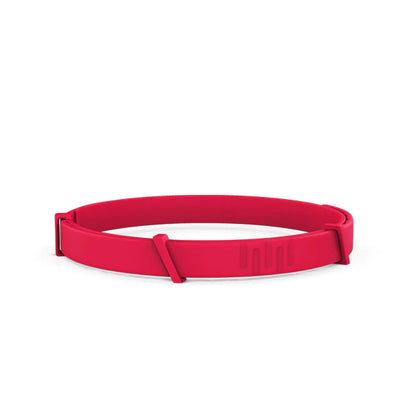 Anti-Flea & Tick Collar For Dog 🐾
