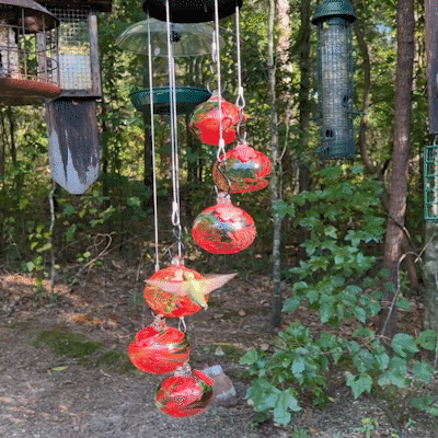Enchanting Hummingbird Haven 🌺✨🎉Last Day 49% OFF🎉