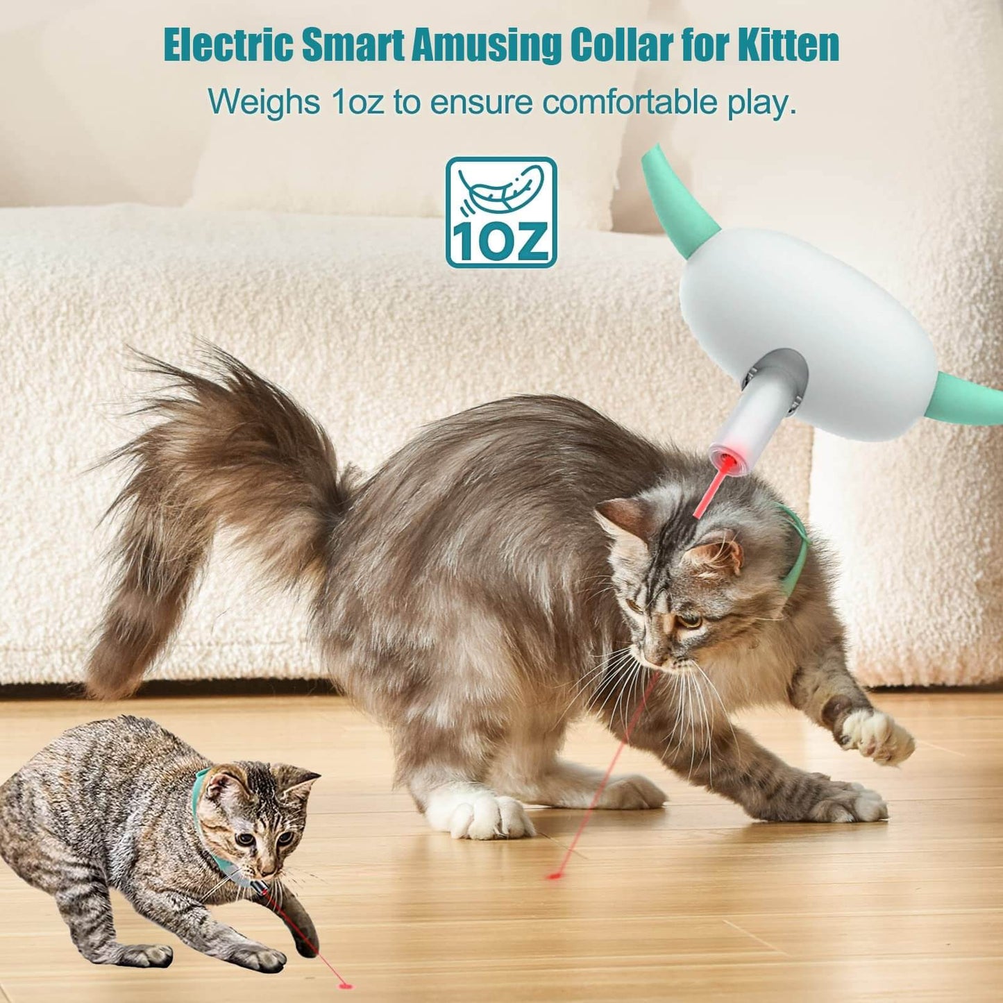 Electric Smart Amusing Collar for Kitten - 🎅Christmas Sale 49% OFF🎁