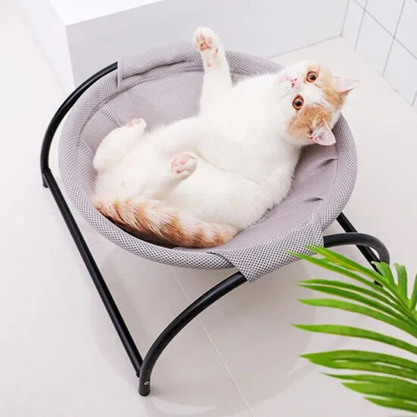 Floor Cat Hammock-With Stand 😺💤 Elevate Your Cat's Comfort with Style and Savings! 🐾💤