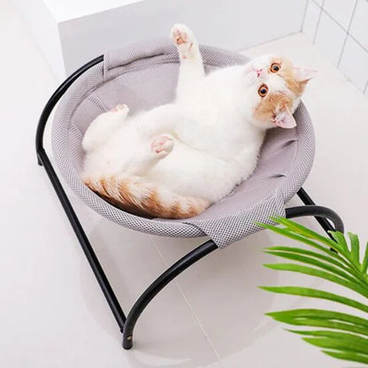 Floor Cat Hammock-With Stand 😺💤 Elevate Your Cat's Comfort with Style and Savings! 🐾💤