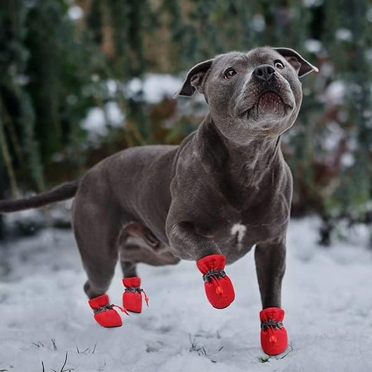 4 Pcs, Waterproof Dog Shoes: Protect Your Pet's Paws, Keep Them Dry and Warm