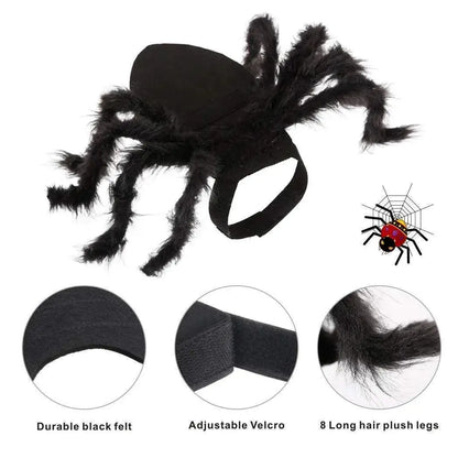 Halloween Pets Spider Costume!